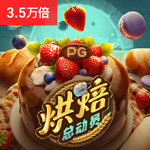bob手机综合app