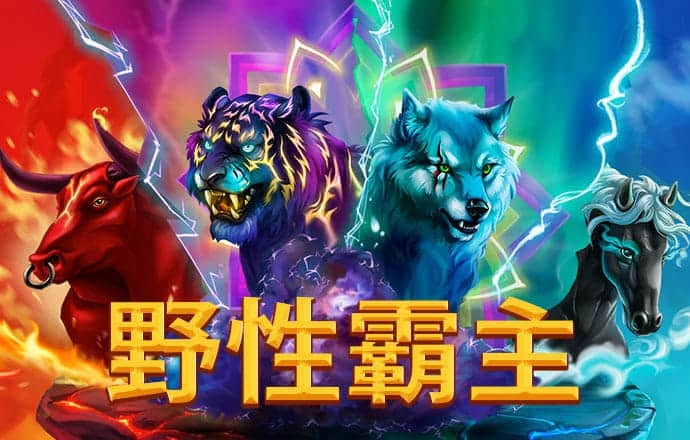 高云体育官网